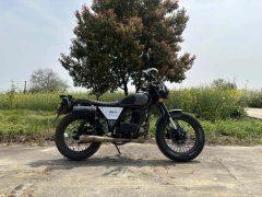 Qingqi U-Knight Bigfoot Crawler 250 cc - фото 2