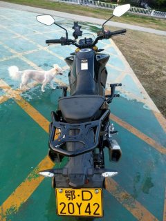 Haojue XCR300 - фото 4