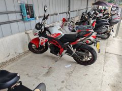 Cyclone RZ3 250 cc - фото 4