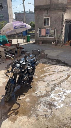 QJMOTOR 300 - фото 2