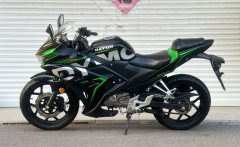 Dayun Tianxun 200R - фото 3