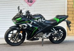 Dayun Tianxun 200R - фото 6