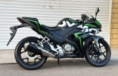 Dayun Tianxun 200R - фото 7