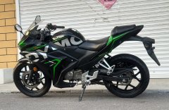 Dayun Tianxun 200R - фото 9