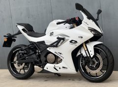 QJMOTOR SRK 250 - фото 4