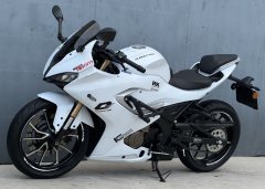QJMOTOR SRK 250 - фото 6