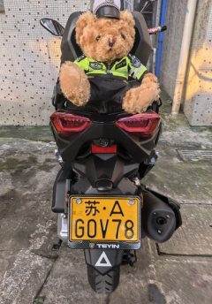 Tianying TX 250 cc - фото 3