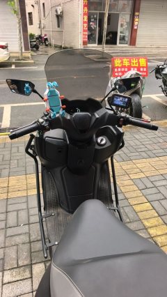 QJMOTOR Hong 250 - фото 3