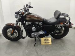 Harley-Davidson 1200 Custom - фото 7