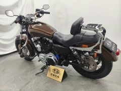 Harley-Davidson 1200 Custom - фото 8