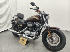 Harley-Davidson 1200 Custom - фото 9