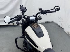 Harley-Davidson Sportster S 1250 cc - фото 5