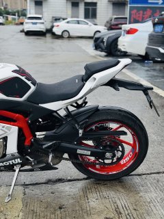 Kayo 450RR - фото 8