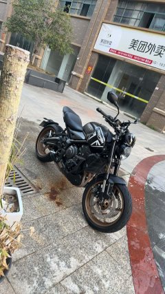 Triumph Trident 660 - фото 3