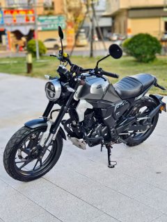 Sundiro Honda CBF190TR - фото 3