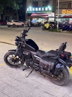 Cyclone RA250 - фото 2