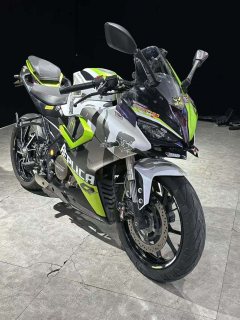 QJMOTOR SRK 250 - фото 1