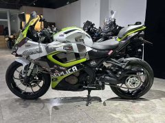 QJMOTOR SRK 250 - фото 5
