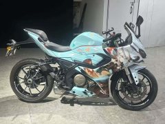 QJMOTOR SRK 250 - фото 4