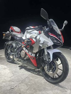 QJMOTOR SRK 250 - фото 1