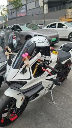 Kayo 450RR - фото 1