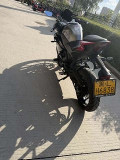 CFMOTO 250SR - фото 2