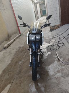 SHINERAY X-TRAIL(Xunlong) 250 cc - фото 2
