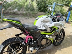 QJMOTOR SRK 250 - фото 2