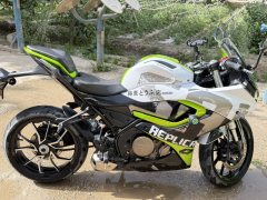 QJMOTOR SRK 250 - фото 4