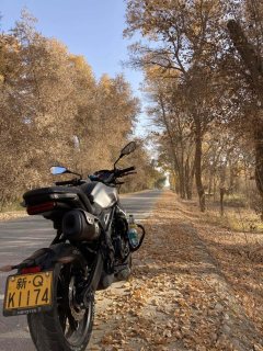 Voge 350AC 320 cc - фото 12