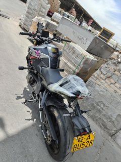 QJMOTOR 600 - фото 5
