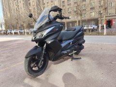 Riya 250 - фото 1