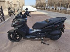 Riya 250 - фото 10