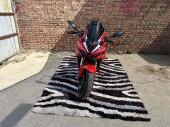 QJMOTOR 600 680 cc - фото 1