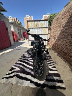 Benda 250 - фото 1