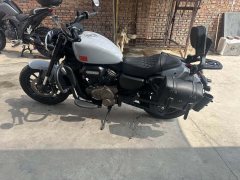 QJMOTOR 300 - фото 9