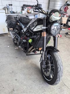 Benelli Leoncino 500 - фото 2