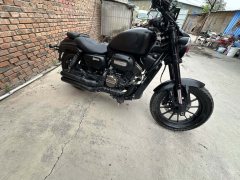 QJMOTOR 250 - фото 4