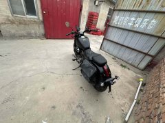 QJMOTOR 250 - фото 8