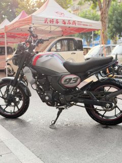 Sundiro Honda CBF190TR - фото 4