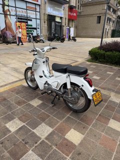 Zongshen Yami 110 cc - фото 6