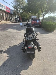 QJMOTOR Shan 600 560 cc - фото 8