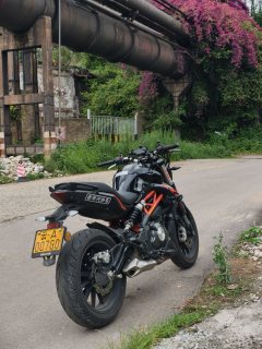Benelli TNT 300 / BN 302S - фото 2