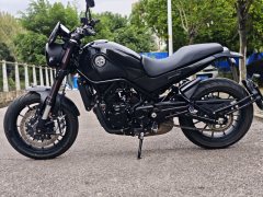 Benelli Lion Cub Leoncino 500 - фото 1