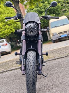 Benelli Lion Cub Leoncino 500 - фото 2