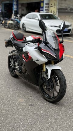 QJMOTOR SRK 250 - фото 3