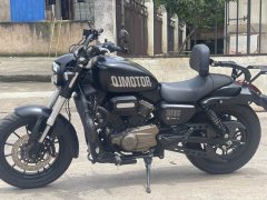 QJMOTOR 300 - фото 2