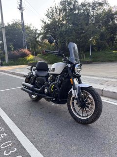QJMOTOR 300 - фото 3