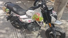 CFMOTO Papio XO-1 125 cc - фото 4
