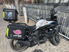 Voge 300DS - фото 1